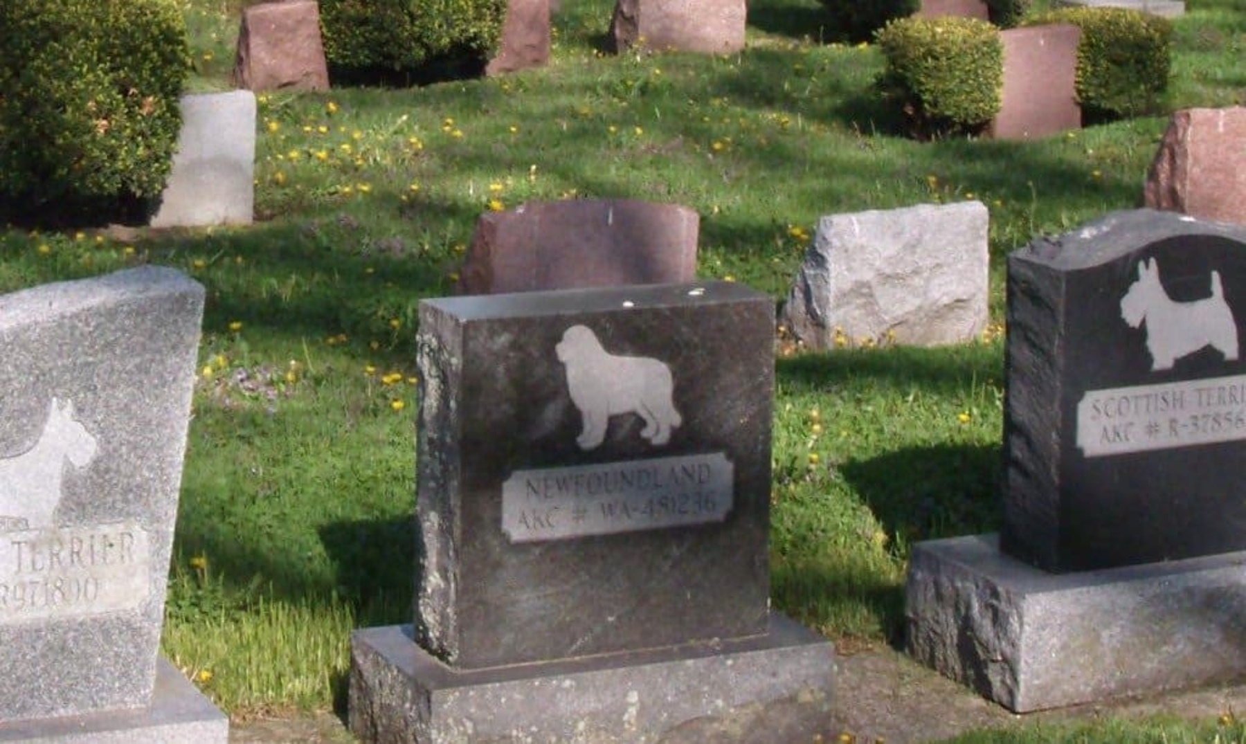 Cementerios para mascotas